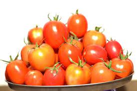 Tomatoes (Royal variety)